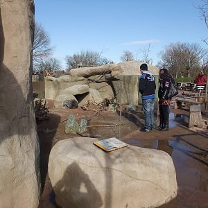 Porcupine Exhibit at Chester, 19/02/12