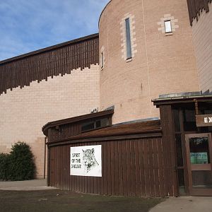 Spirit of the Jaguar at Chester, 19/02/12