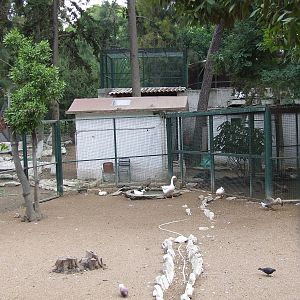 Athens - Former Royal Menagerie