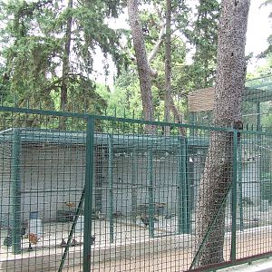 Athens - Former Royal Menagerie