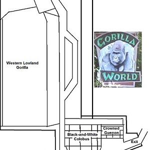 My Map of Gorilla World