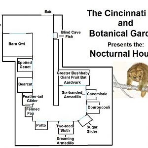 My Map of the old Nocturnal House