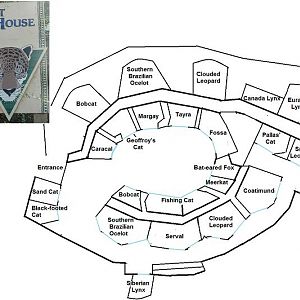 My Map of the old Cat House
