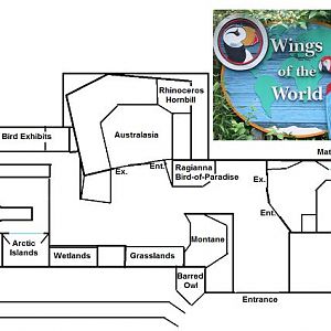 My Map of Wings of the World