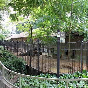 ZOO Antwerpen - Warthog exhibits