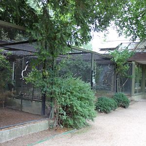 ZOO Antwerpen - Aviaries