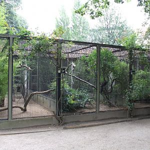 ZOO Antwerpen - Aviaries