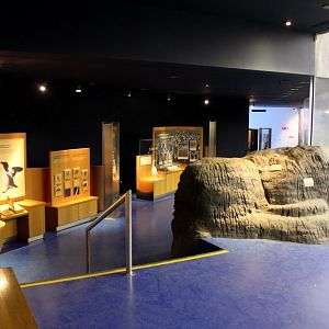 ZOO Antwerpen - Vriesland