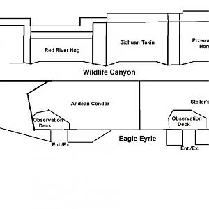 My Map of Wildlife Canyon and Eagle Eyrie