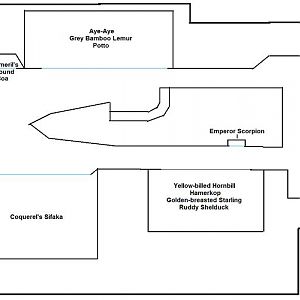 My Map of the African Animals building in Jungle Trails