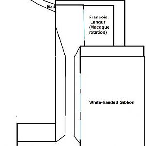 My Map of the Asian Animals building in Jungle Trails