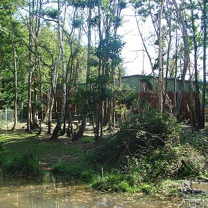 Pygmy hippopotamus and guereza exhibit
