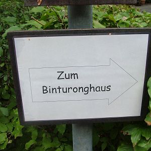 Signage at Darmstadt, 30/08/10