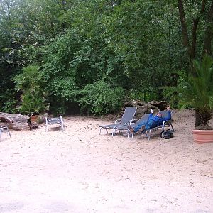 Relaxing on the Beach at Darmstadt, 30/08/10