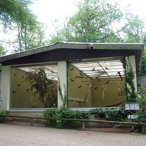 Parrot House at Darmstadt, 30/08/10