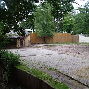 Zebra Paddock at Darmstadt, 30/08/10