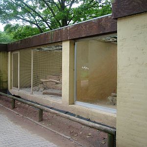 Fennec Fox Exhibit at Darmstadt, 30/08/10