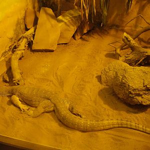 Horn's Monitor at Darmstadt, 30/08/10