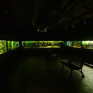 Aquarium Room at Darmstadt, 30/08/10