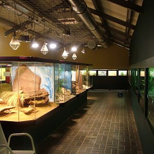 Reptile Room at Darmstadt, 30/08/10