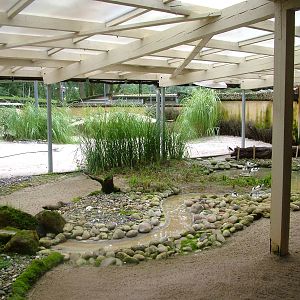 Wader Aviary at Darmstadt, 30/08/10