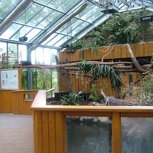 Binturong House at Darmstadt, 30/08/10