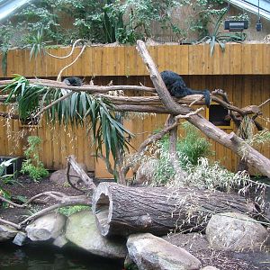 Binturong House at Darmstadt, 30/08/10