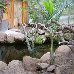 Binturong House at Darmstadt, 30/08/10