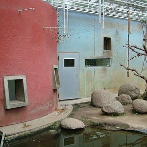Macaque Exhibit at Darmstadt, 30/08/10