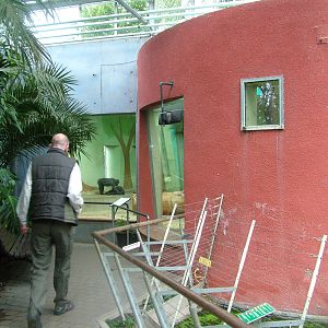 Macaque Exhibit at Darmstadt, 30/08/10