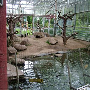 Macaque Exhibit at Darmstadt, 30/08/10