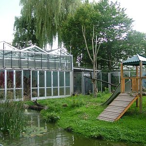 Macaque Exhibit at Darmstadt, 30/08/10