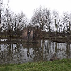 Monkey Islands at Blackpool Zoo 26/02/12