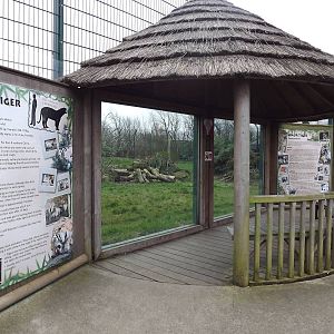 Tiger viewing at Blackpool Zoo 26/02/12