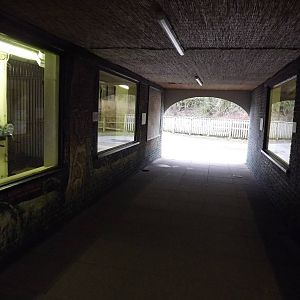 Cat house interior at Blackpool Zoo 26/02/12