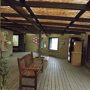 Cat house interior at Blackpool Zoo 26/02/12