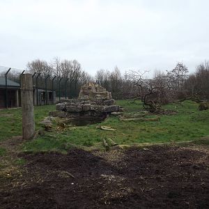 Lion paddock at Blackpool Zoo 26/02/12
