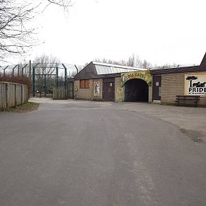 Cat house at Blackpool Zoo 26/02/12