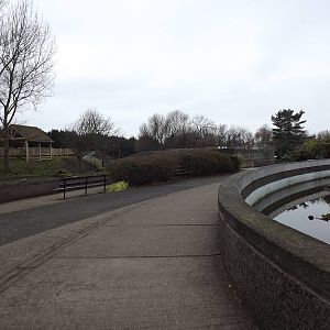 General view at Blackpool Zoo 26/02/12