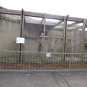 Titi Monkey exhibit at Blackpool Zoo 26/02/12