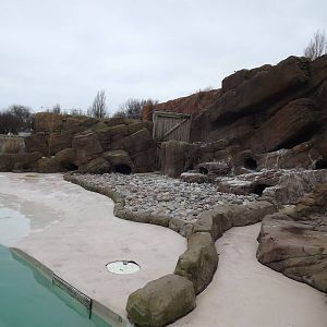 Penguin exhibit at Blackpool Zoo 26/02/12