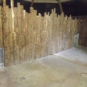 Giant anteater exhibit at Blackpool Zoo 26/02/12