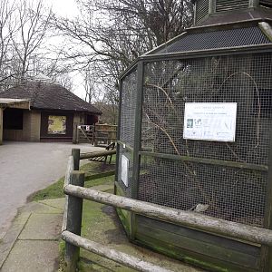 Lovebird and Aardvark exhibit at Blackpool Zoo 26/02/12