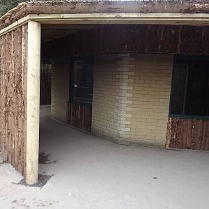 Giant anteater exhibit at Blackpool Zoo 26/02/12