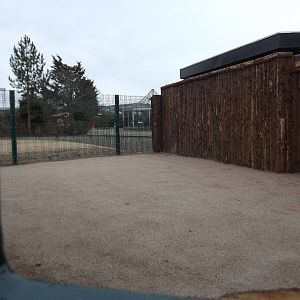 Giant anteater exhibit at Blackpool Zoo 26/02/12