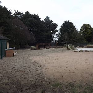 Giant anteater exhibit at Blackpool Zoo 26/02/12