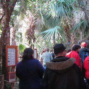 Feb. 2012-Manatee Springs Greenhouse