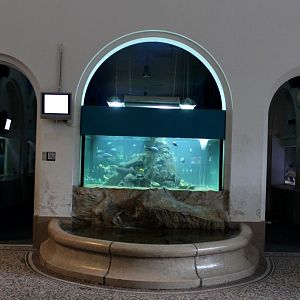 ZOO Antwerpen - Aquarium