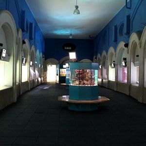 ZOO Antwerpen - Aquarium