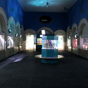 ZOO Antwerpen - Aquarium